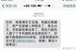 南乐为什么选择专业追讨公司来处理您的债务纠纷？